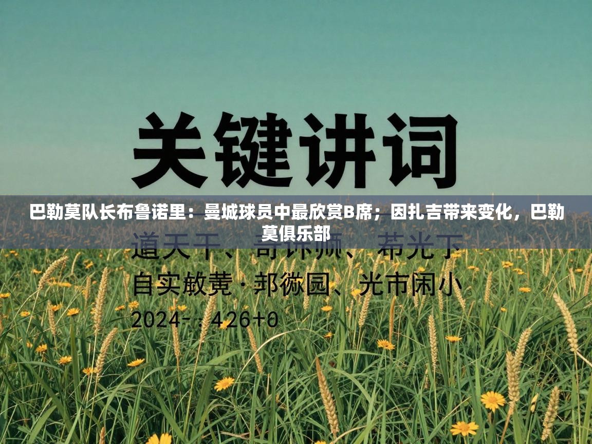 巴勒莫队长布鲁诺里：曼城球员中最欣赏B席；因扎吉带来变化，巴勒莫俱乐部  第1张