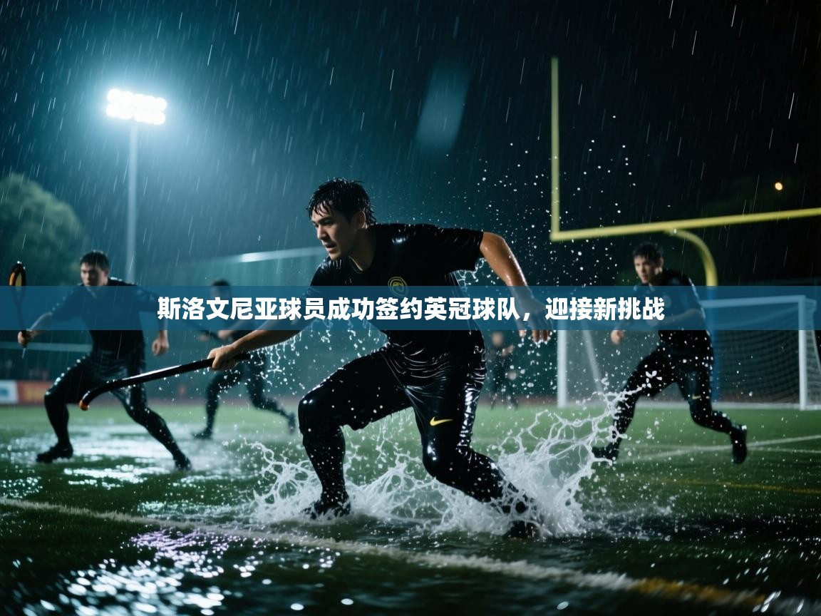 斯洛文尼亚球员成功签约英冠球队，迎接新挑战  第2张