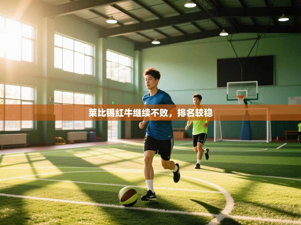 莱比锡红牛继续不败，排名较稳  第2张