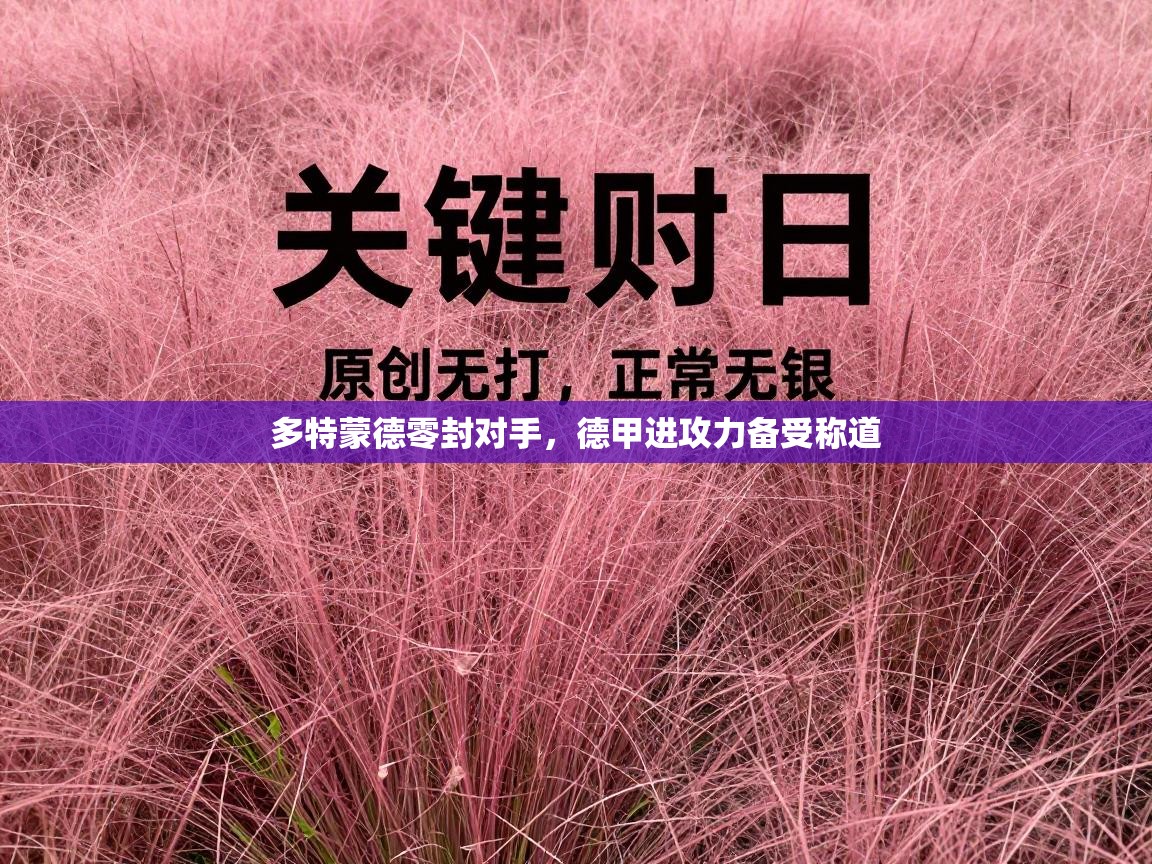 多特蒙德零封对手，德甲进攻力备受称道